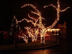 051 Toledo Zoo Light Show [2008 Dec 27]